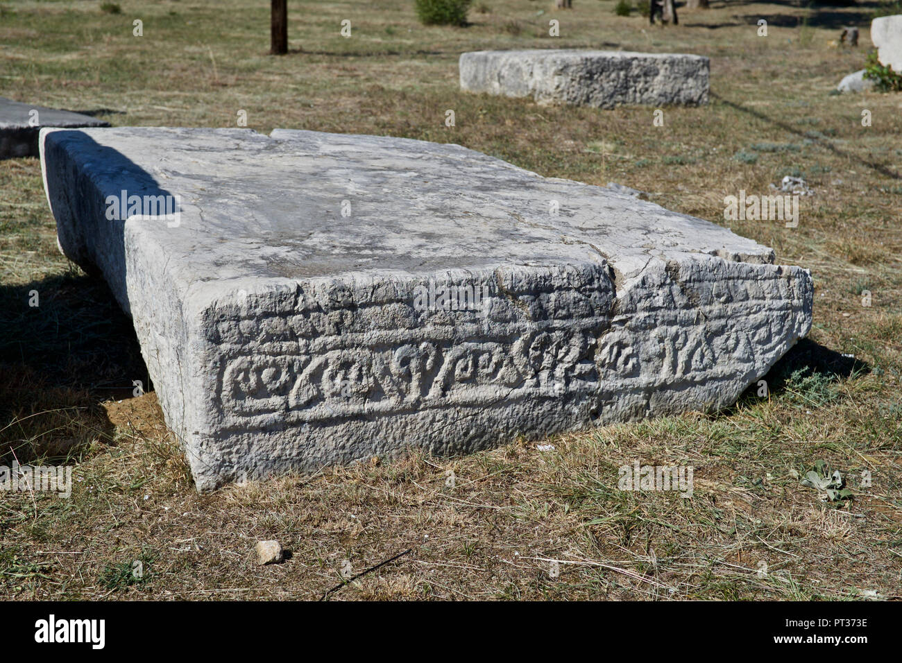Stećci, ancient megalithic tombstones at Radimlja ancient necropolis at Vidovo Polje near Stolac, Bosnia and Herzegovina Stock Photo