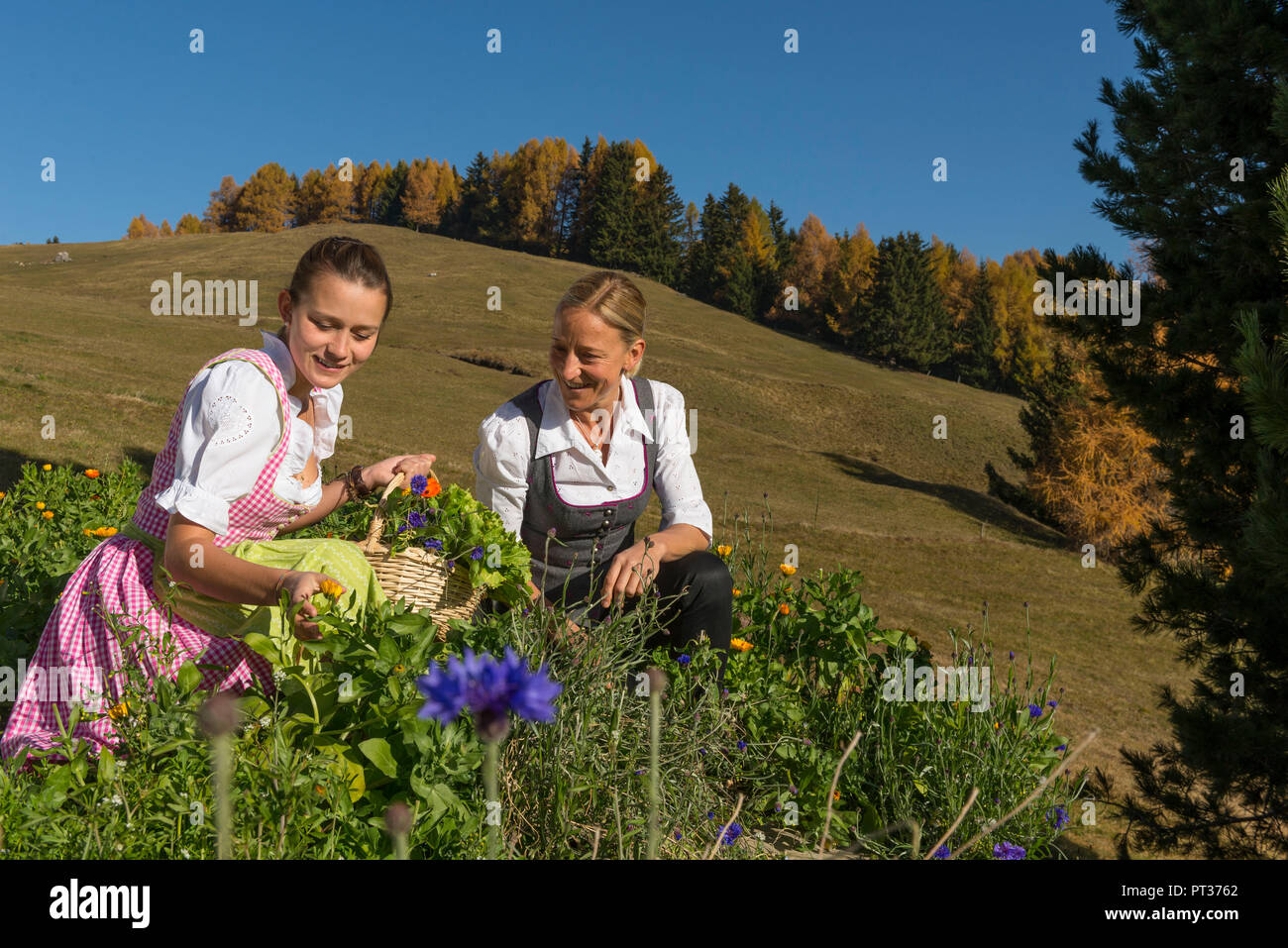 Helga and Maria Lageder with flower basket, Seiser Alm, near Castelrotto, Dolomites, South Tyrol, Italy Stock Photo
