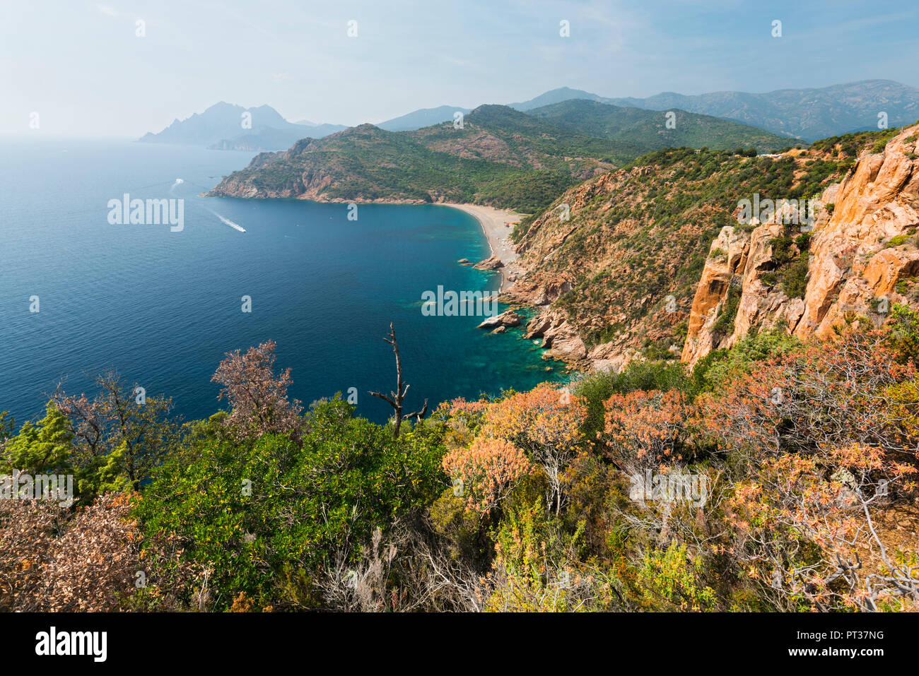 Bussaglia, cliff coast, Golfe de Porto, Corsica, France Stock Photo