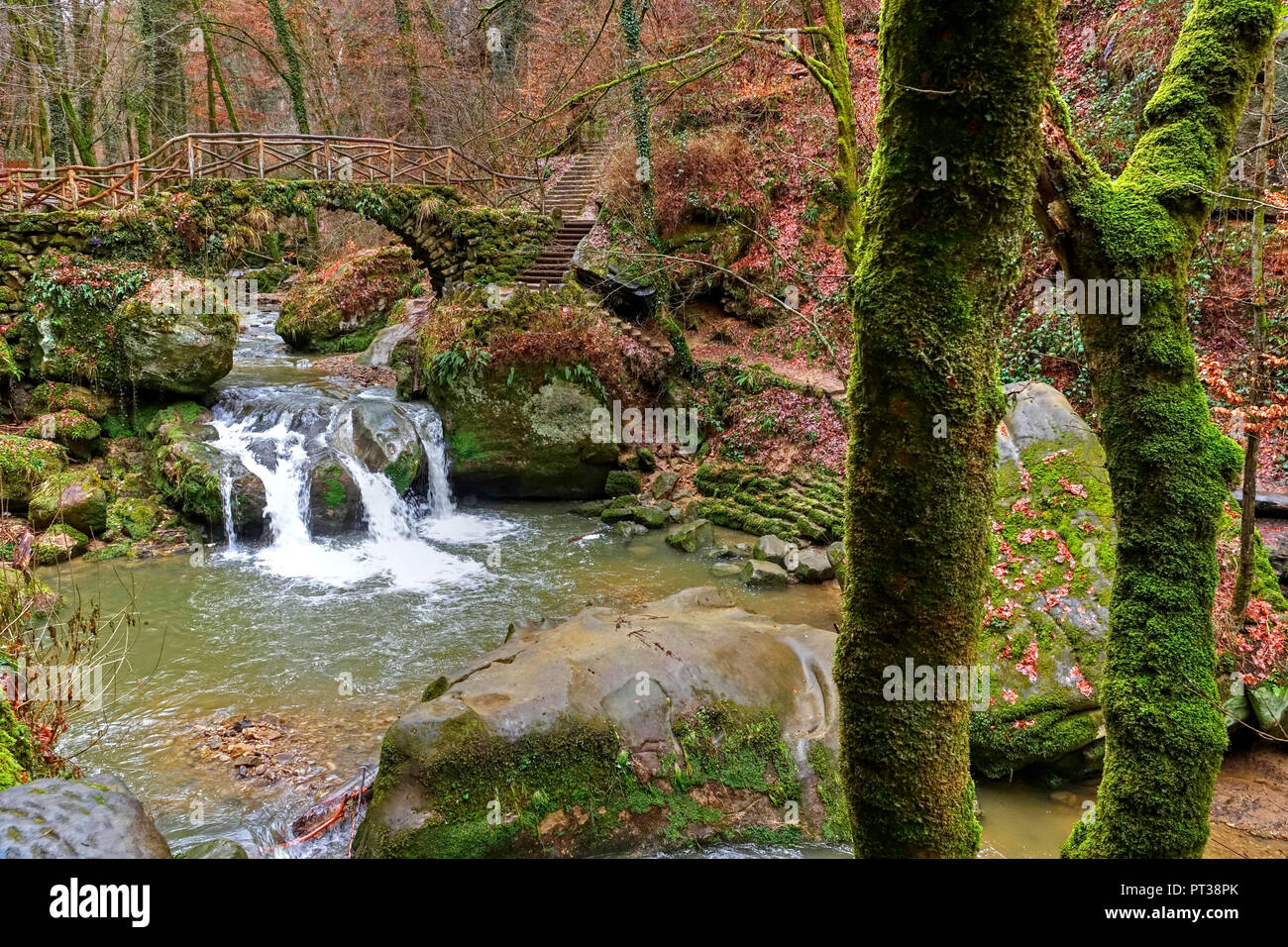 Waterfall shooting pools in the Müllerthal, Luxembourgish Switzerland, Luxembourg Stock Photo