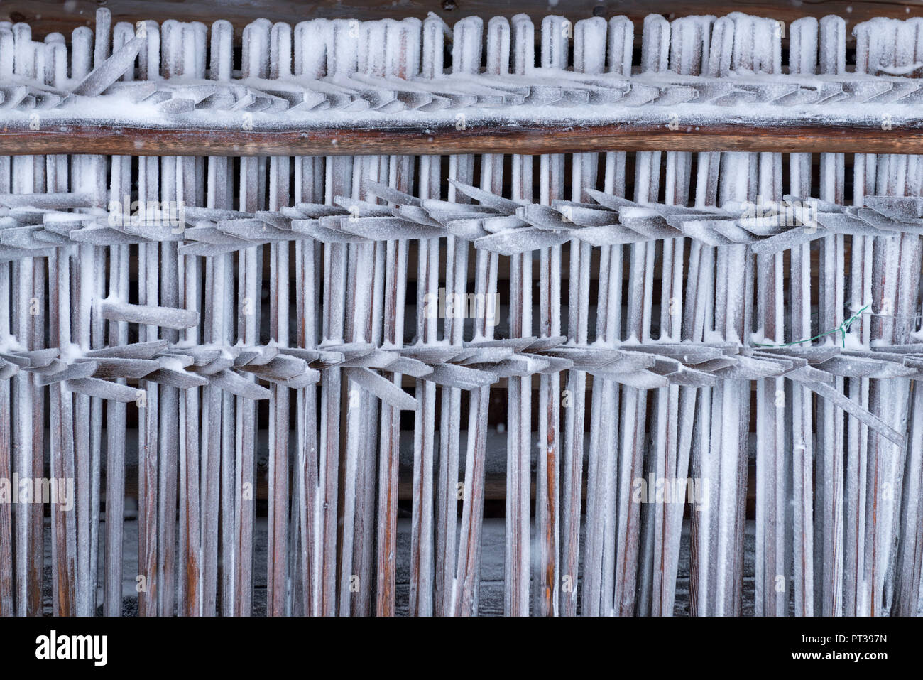 Austria, Montafon, St. Gallenkirch, haystack on a hut wall Stock Photo ...