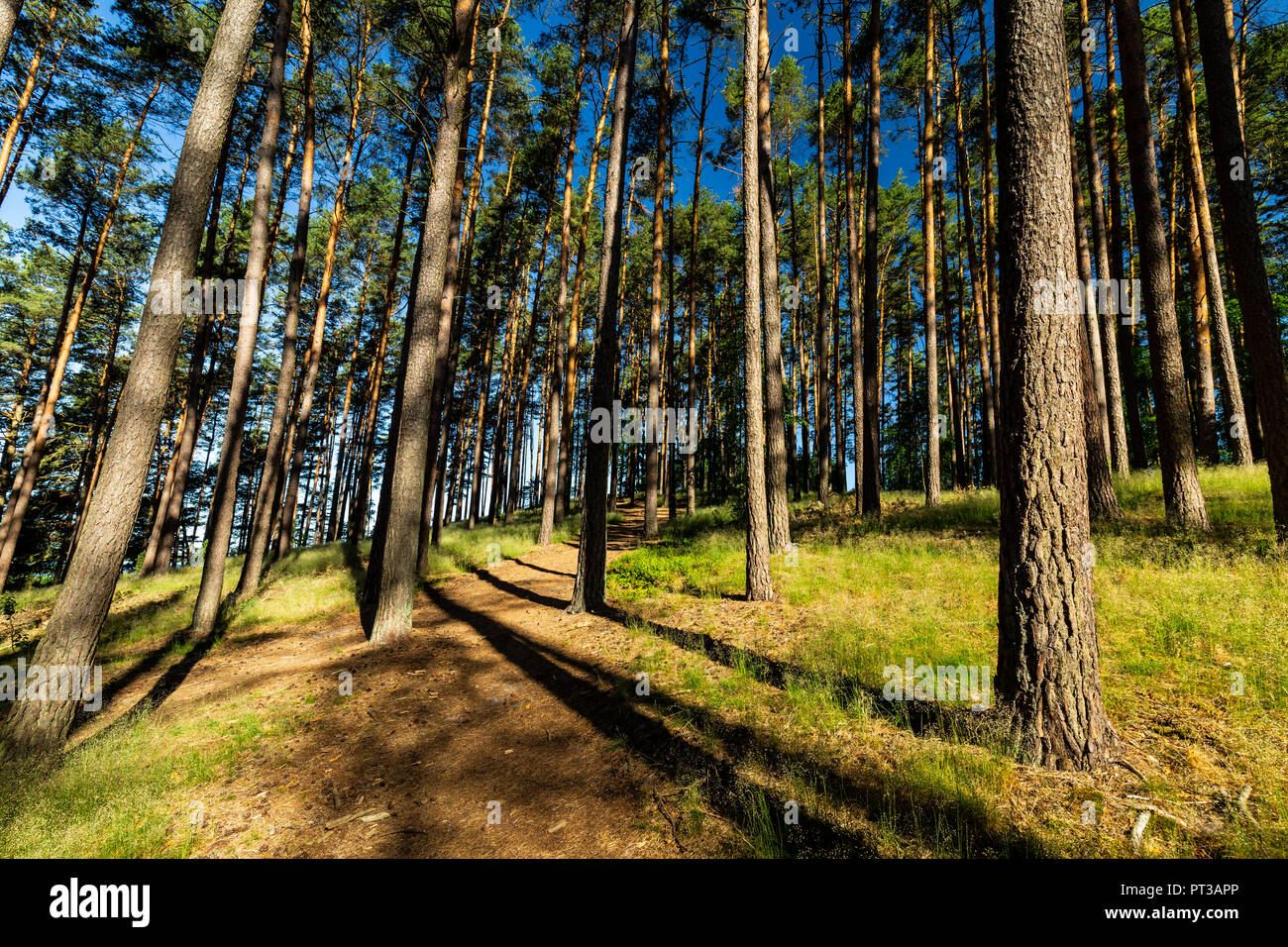 Tuchola Forest National Park Hi res Stock Photography And Images Alamy