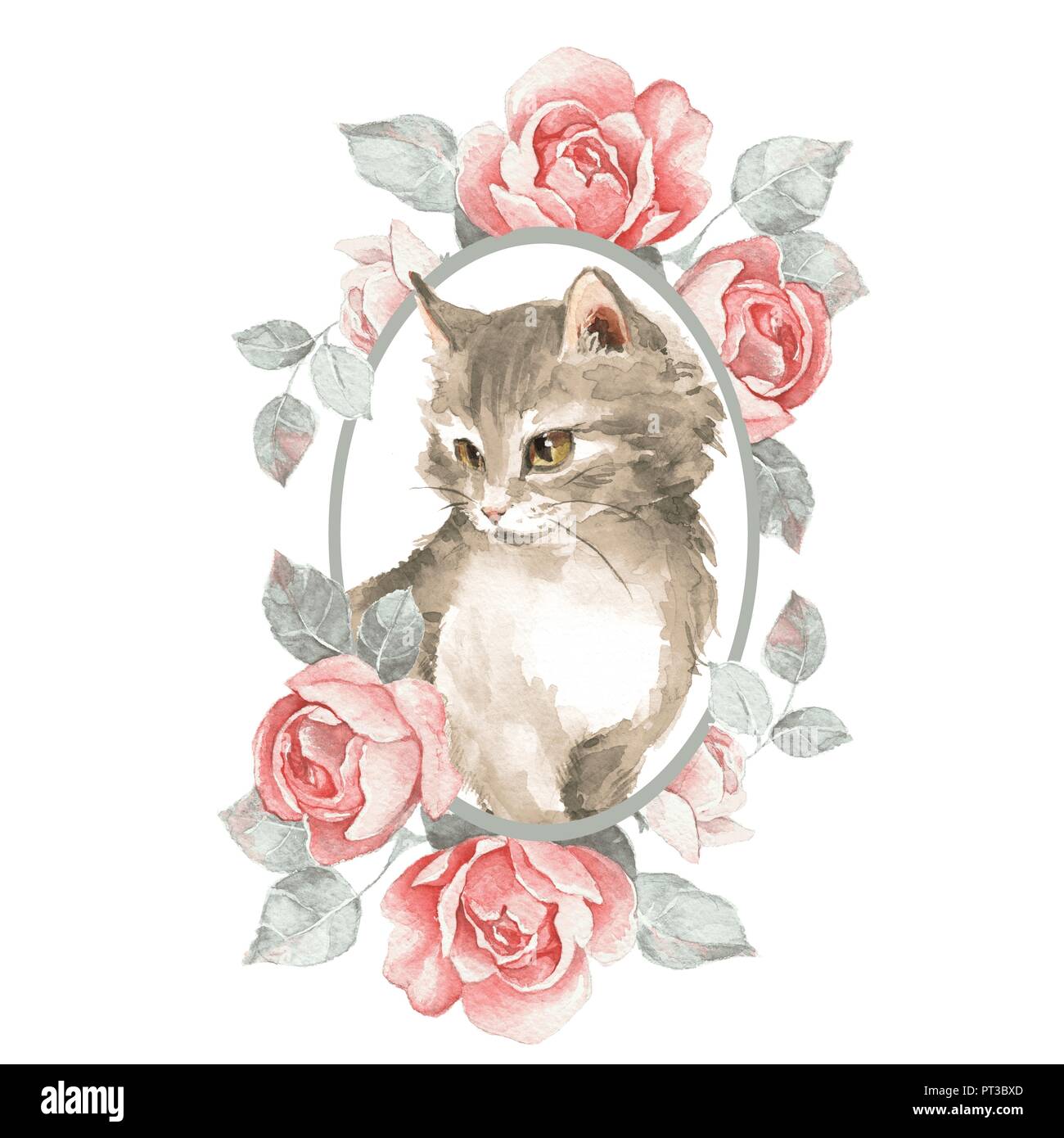 Cat. Cute kitten and roses. Watercolor illustration Stock Photo