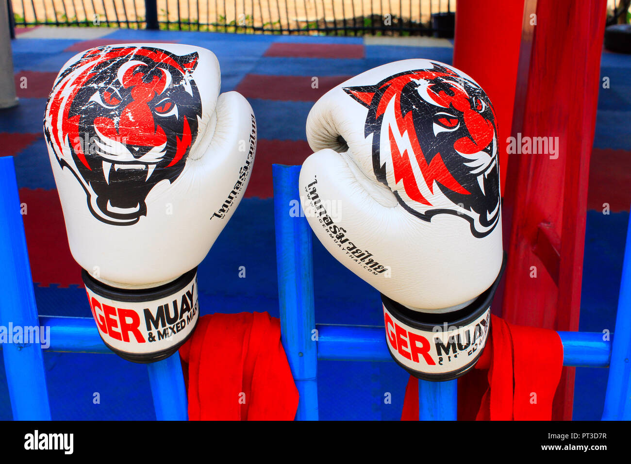 White boxing gloves with tiger print at the gym of Ban Bung Sam Phan Nok,  Phetchabun, Thailand Stock Photo - Alamy