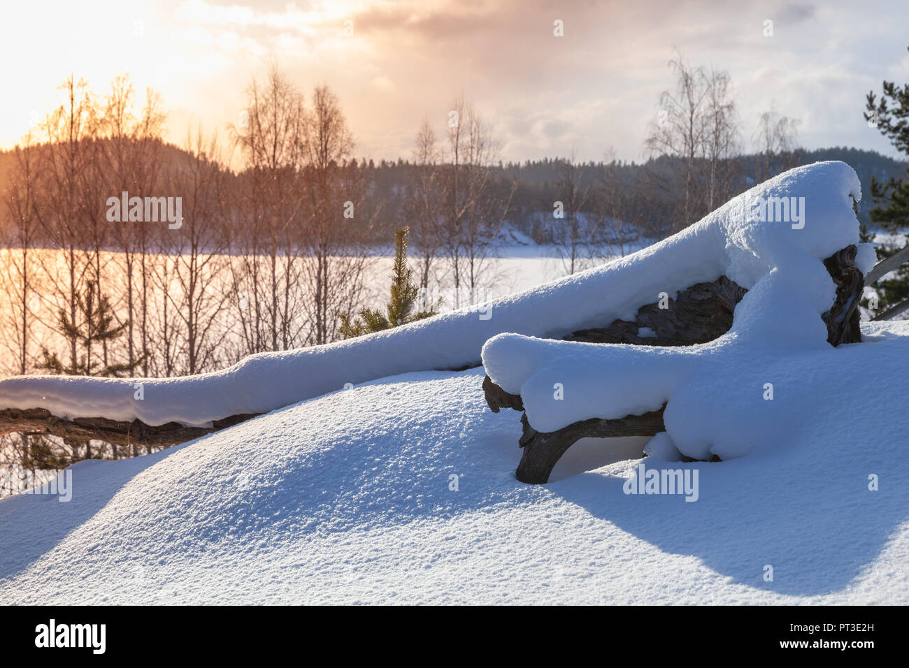 Snag covered with frost and snow. Rural winter landscape, Finland Stock Photo