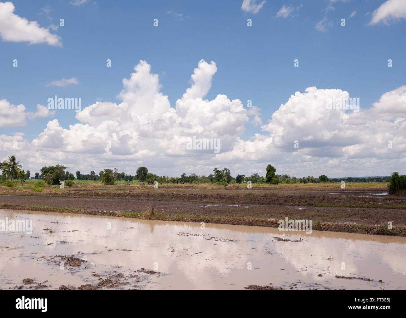 Cultivated field wet soil hi-res stock photography and images - Alamy