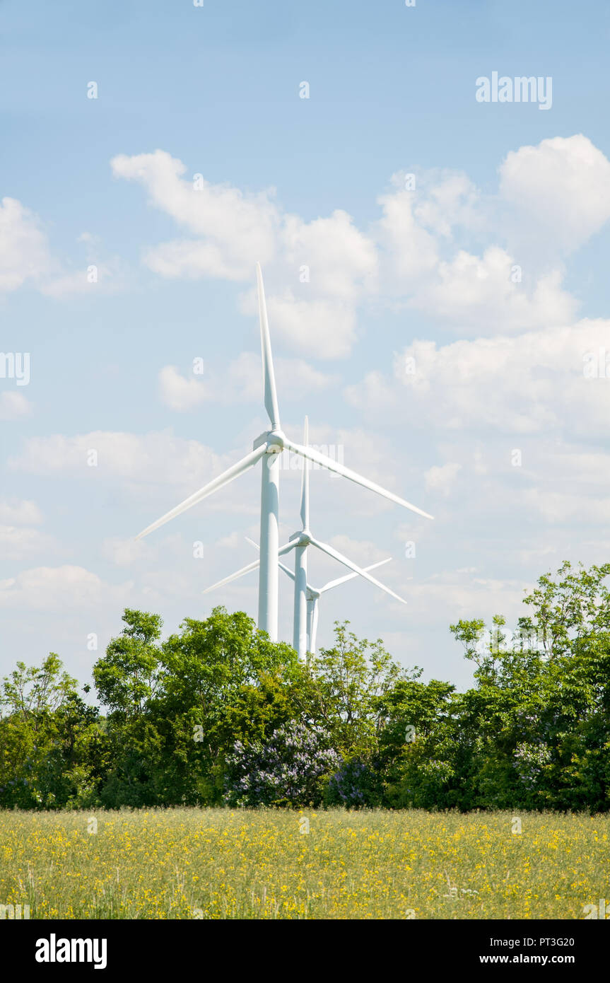 Wind turbines in green lush nature Stock Photo - Alamy