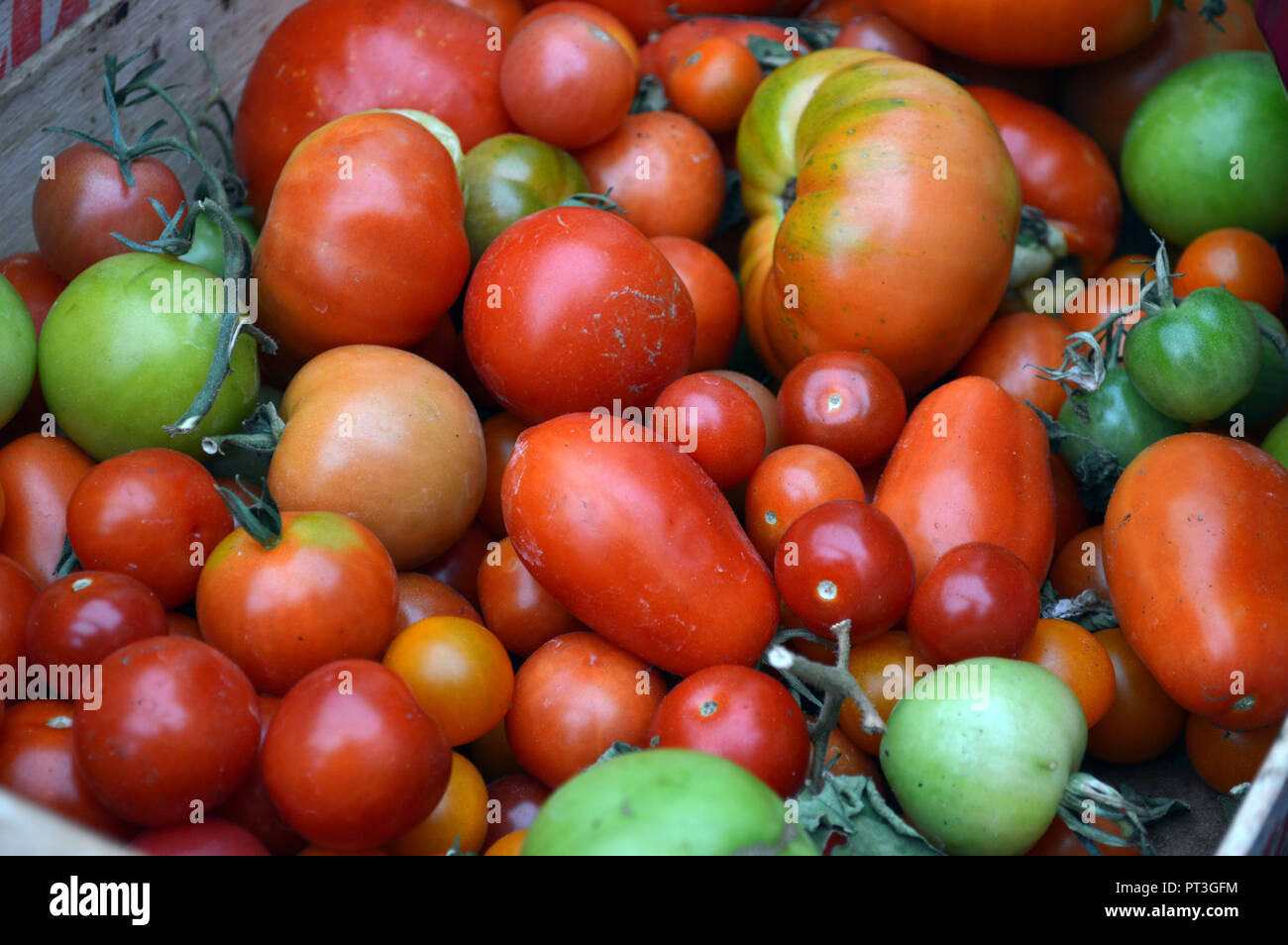Fresh box of Italian tomatoes Stock Photo Alamy