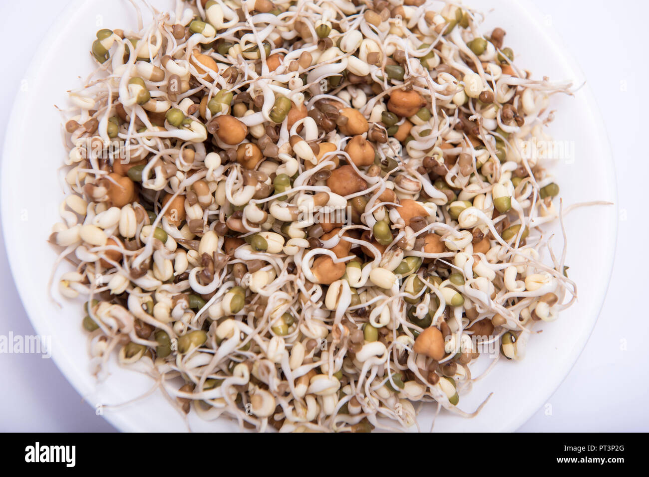 Mixed sprouts salad in the plate at home Mumbai India Stock Photo Alamy