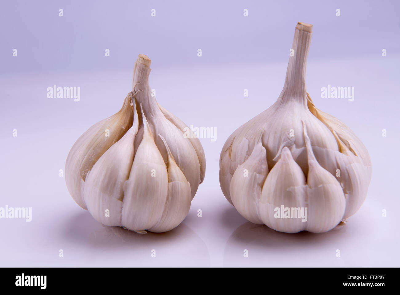 Garlic(Lehsun) (scientific name Allium sativum) is a species in the