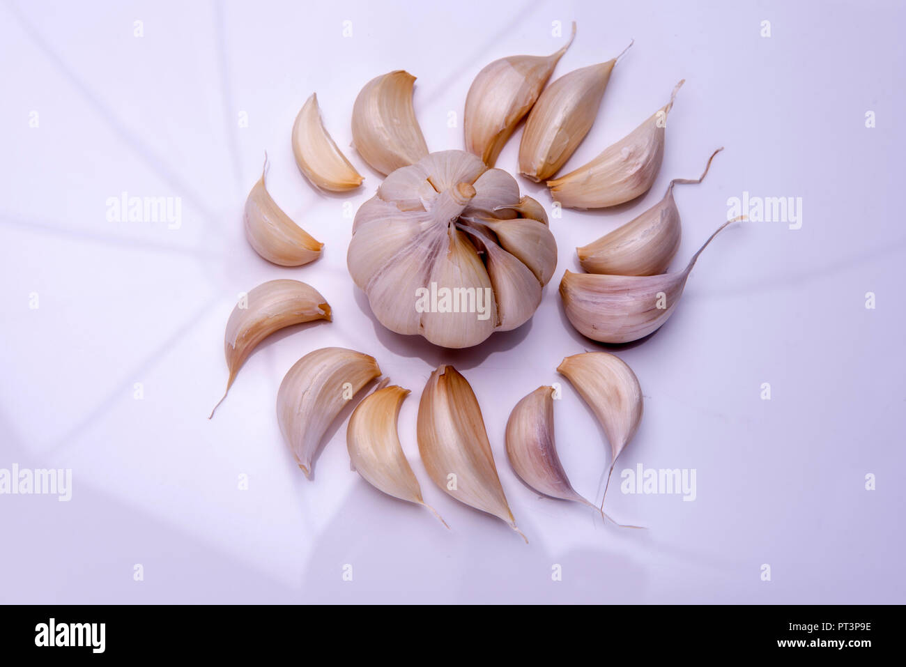 Garlic(Lehsun) (scientific name Allium sativum) is a species in the