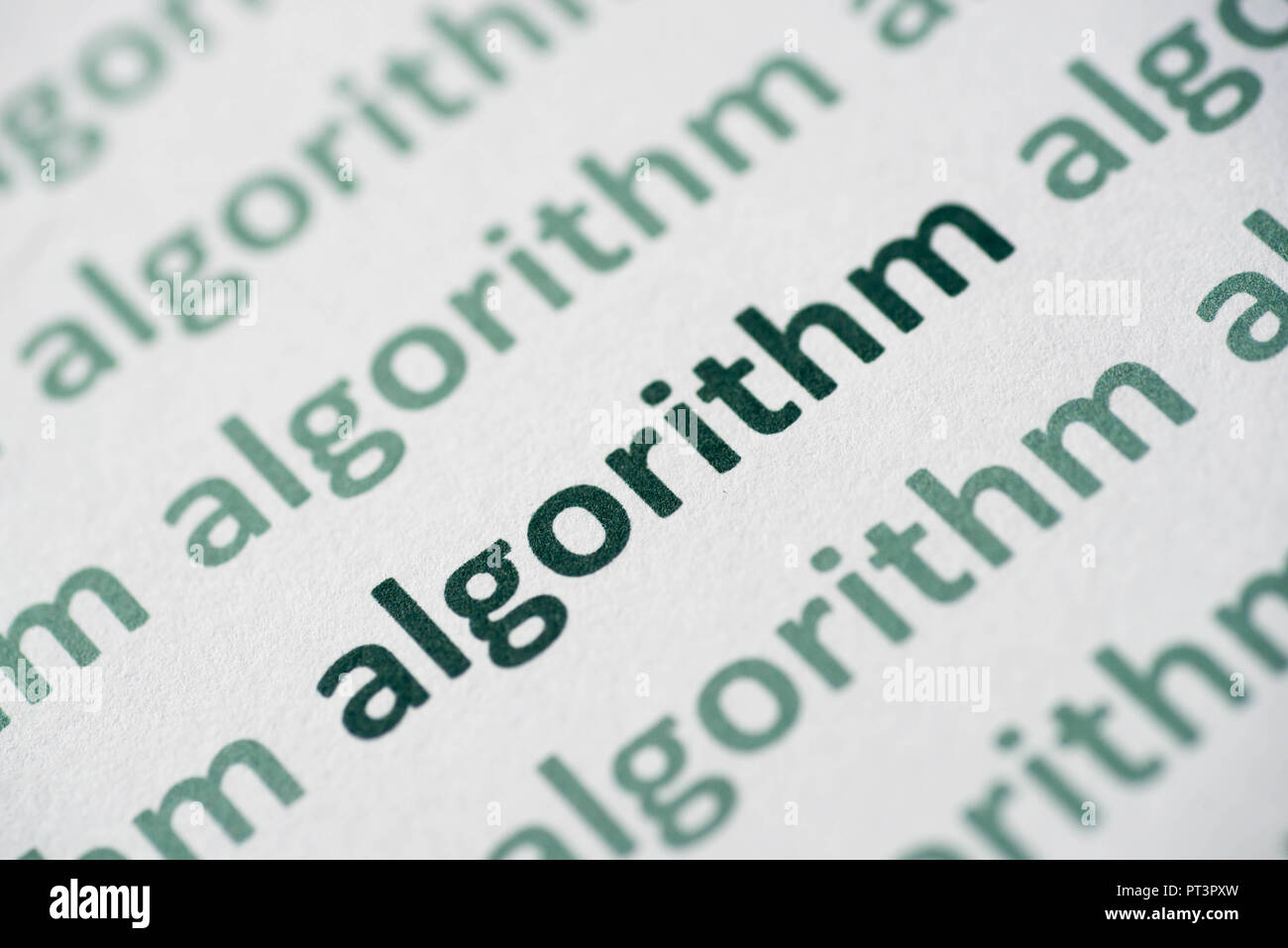 word algorithm printed on white paper macro Stock Photo