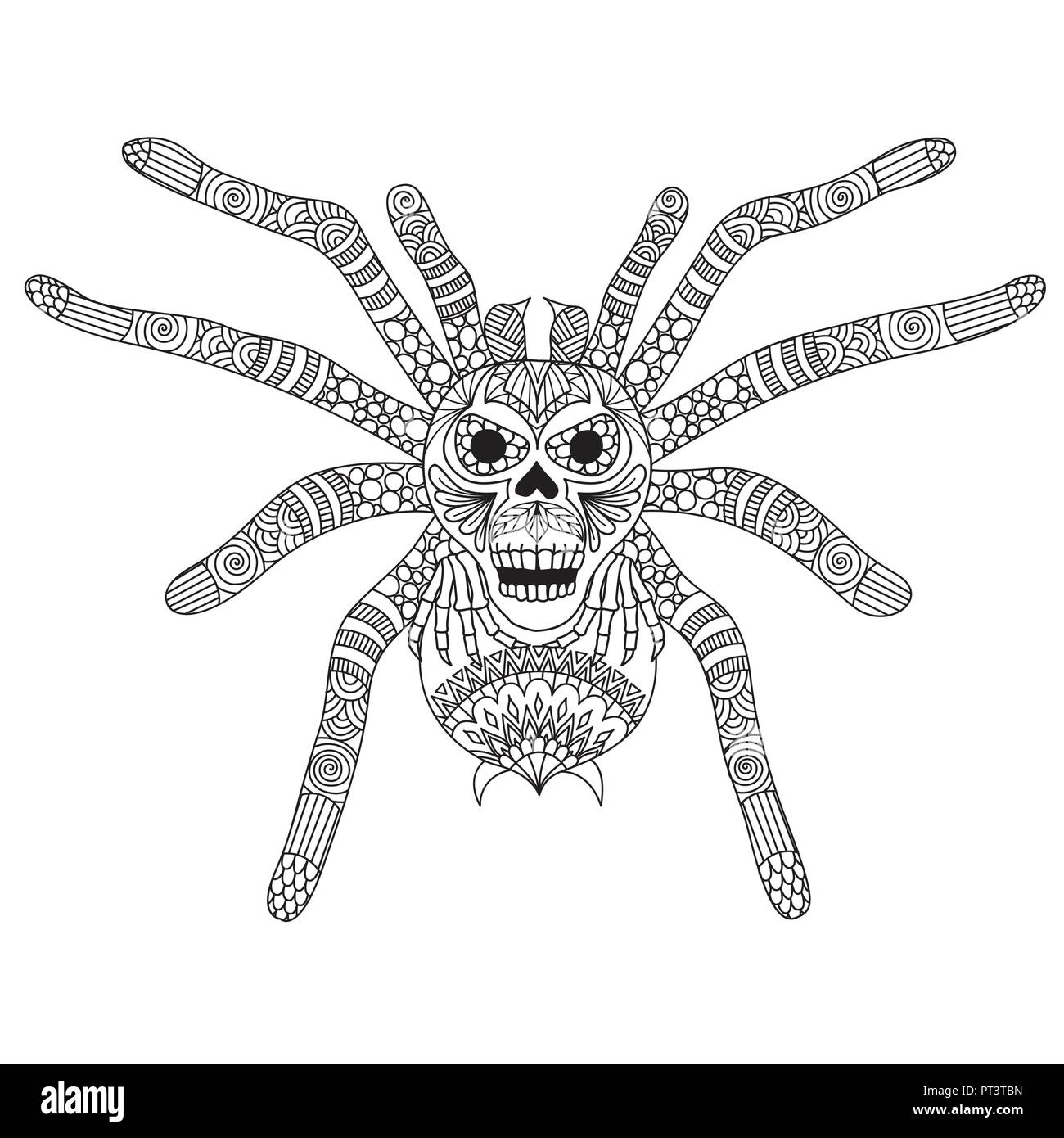 Coloring Book page for adult and kid. Colouring picture of zentangle stylized spooky skull face on spiderman back. Hand drawing illustration. Design e Stock Vector