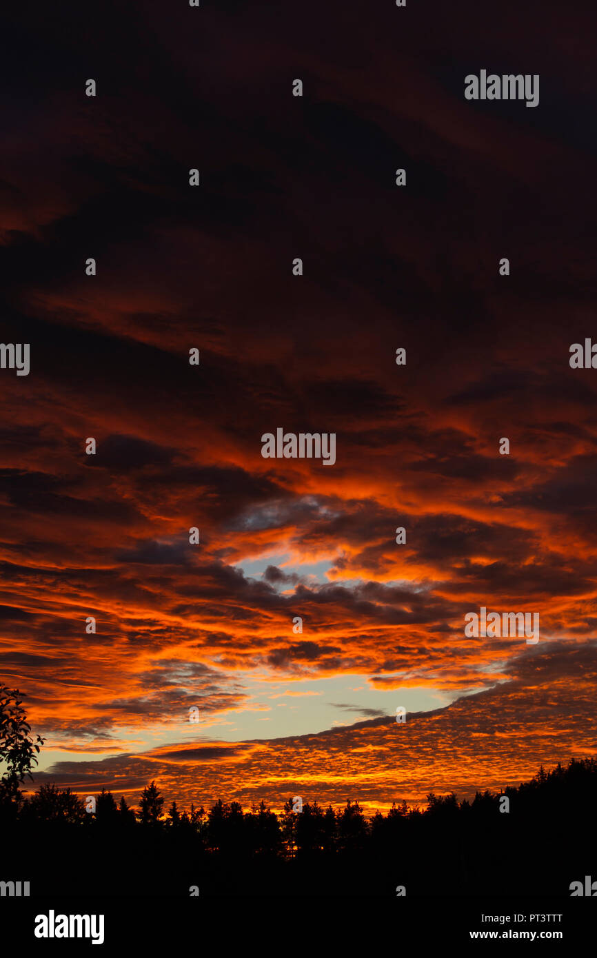 Clouds lit orange by sunset, gradient from darker to brighter. Hole punch cloud with blue sky. Stock Photo
