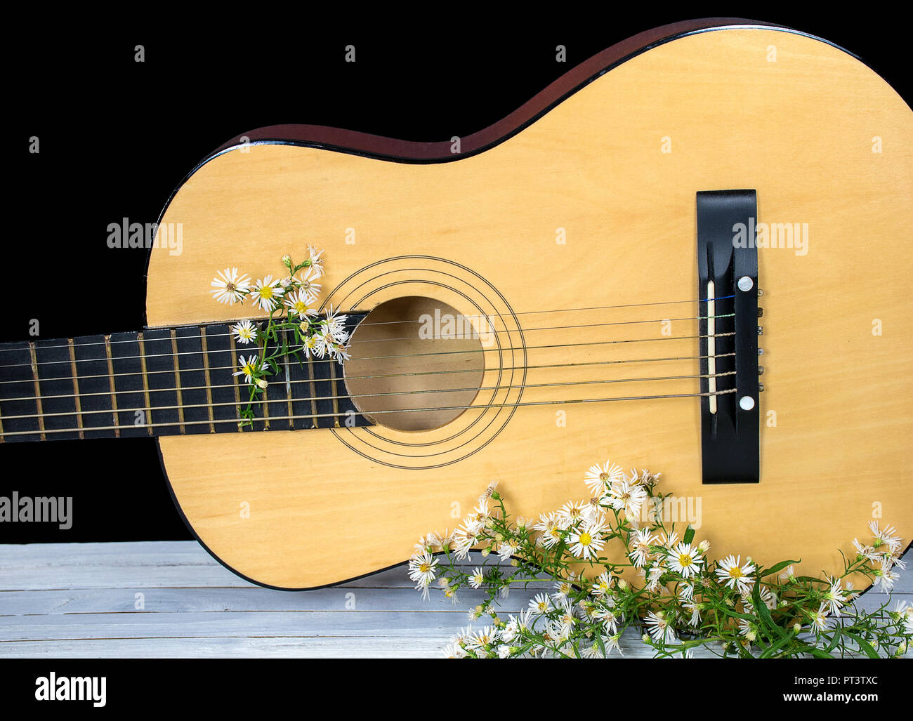 aster wildflowers with six string acoustical guitar on whitewashed wood