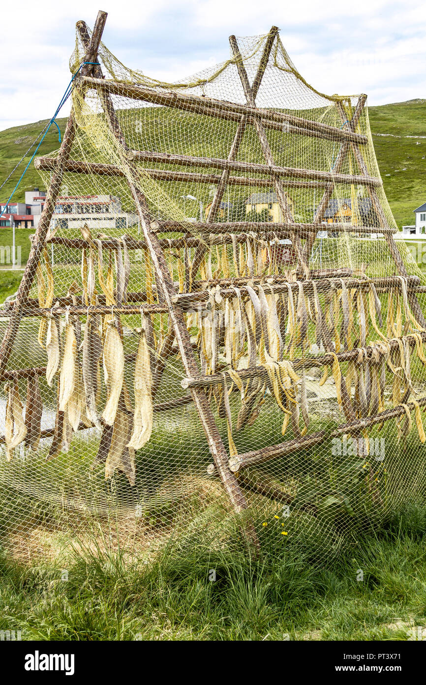 Fish Drying Rack Mageroya Island Honningsvaag Norway Stock Photo - Alamy