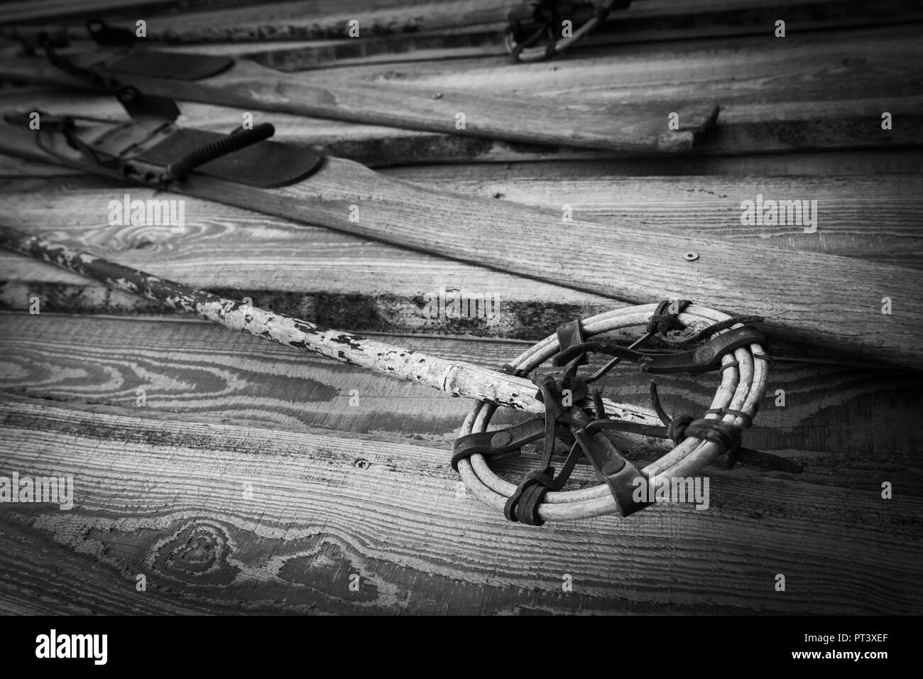 Dyer's Skivi - Black/White main image 1