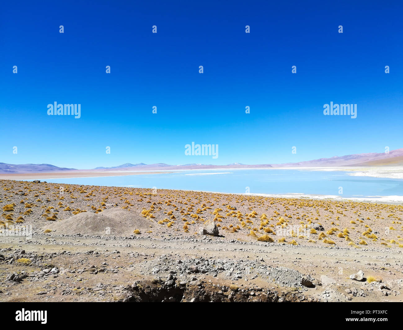 Bolivian lagoon landscape, Aguas Termales de Polques,Bolivia Stock Photo