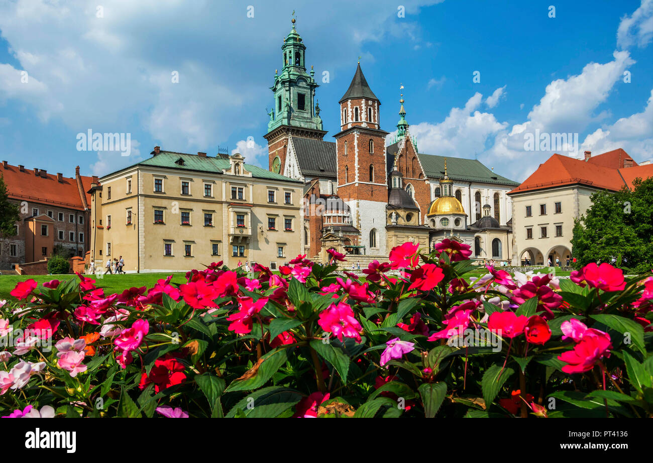 Beautiful sightseeing with Wawel Royal Castle and colorful flowers in Krakow,  Poland Stock Photo - Alamy