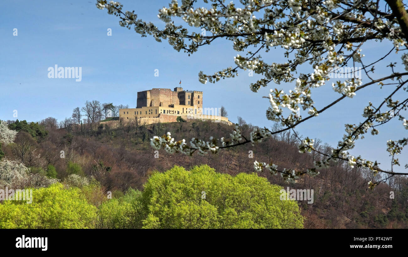 Hambach Castle at Neustadt an der Weinstrasse, Pfalz, Palatinate Wine Route, Rhineland-Palatinate, Germany Stock Photo