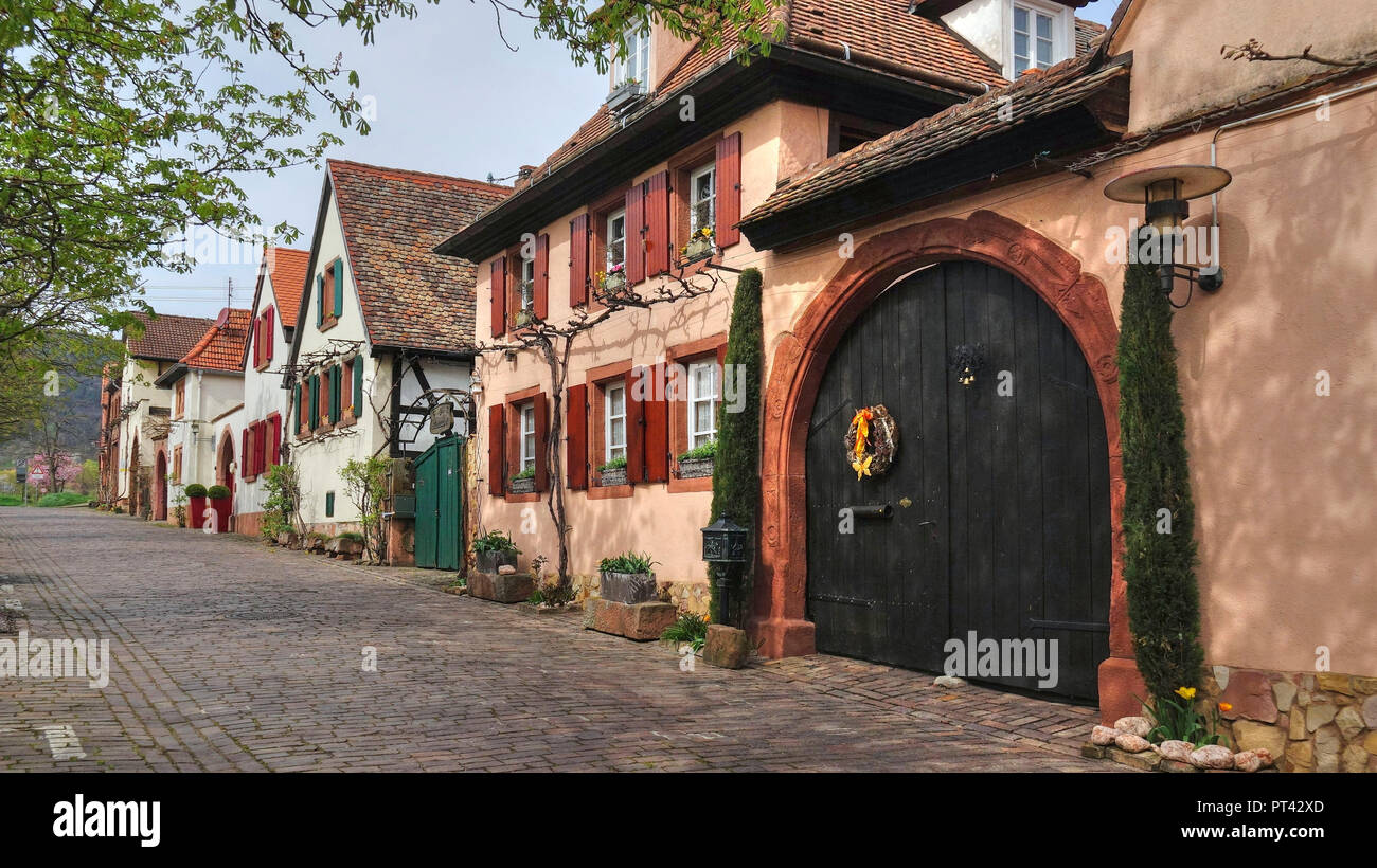 Rhodt unter Rietburg, near Edenkoben, Pfalz, Palatinate Wine Route, Rhineland-Palatinate, Germany Stock Photo