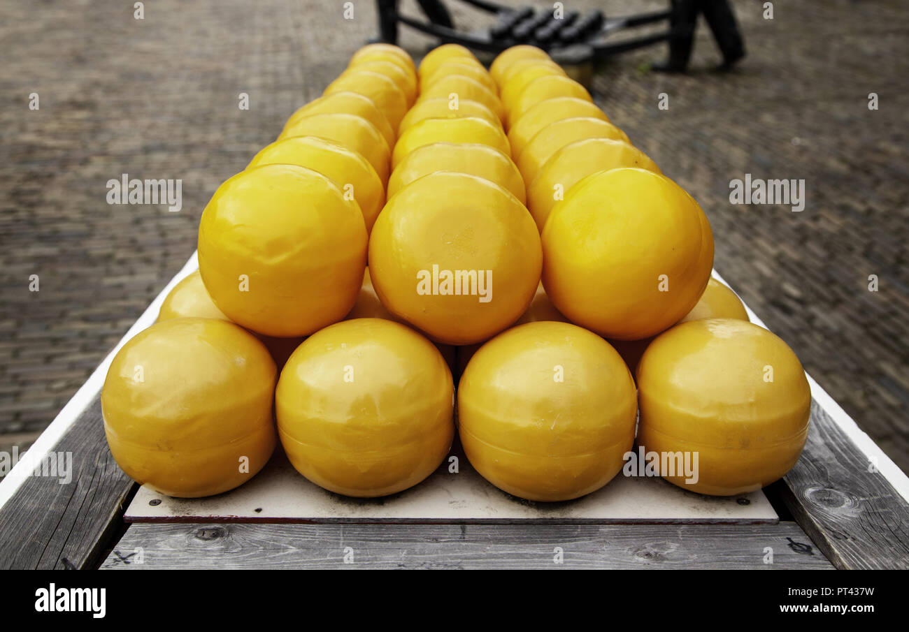Artisan edam cheese, detail of Dutch cheese making Stock Photo Alamy