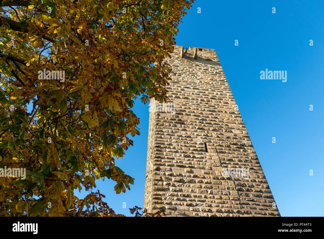 Von below hi-res stock photography and images - Page 3 - Alamy