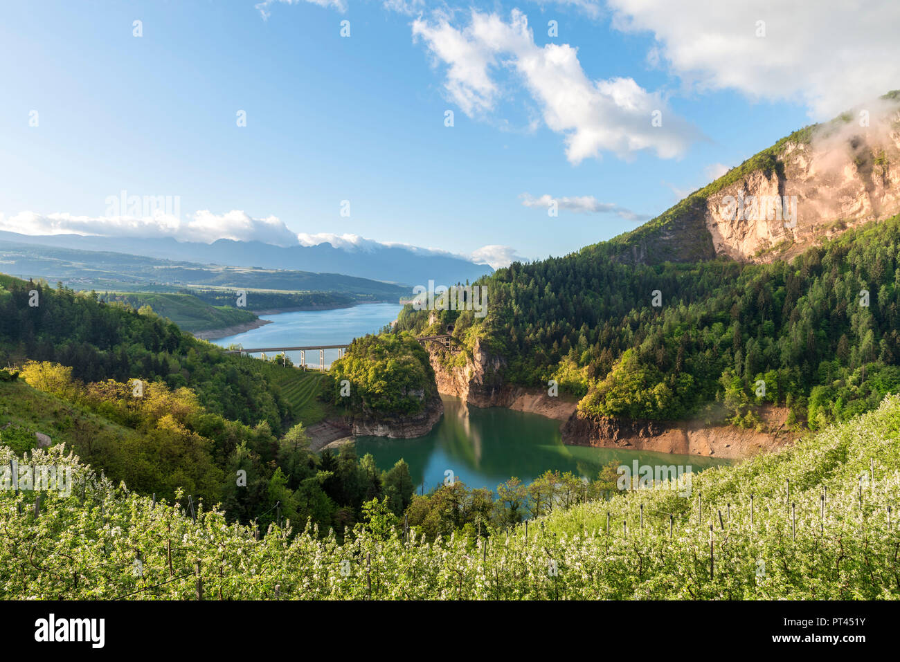Apple Orchards High Resolution Stock Photography and Images - Alamy