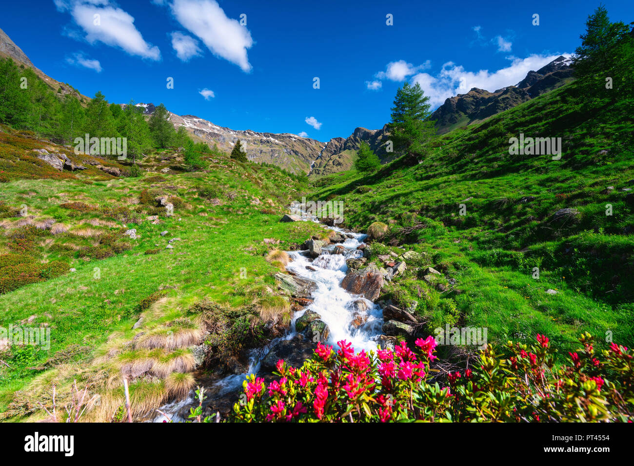 Valle delle Messi, Ponte di Legno, Brescia province, Lombardy district, Italy, Stock Photo