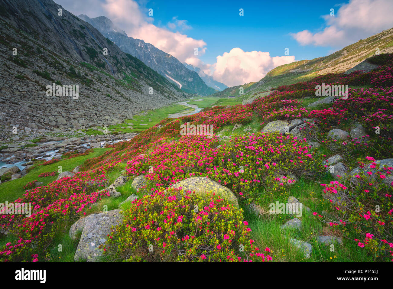 Adamè valley in Adamello park, Vallecamonica, Italy, Lombardy district, Brescia province, Stock Photo