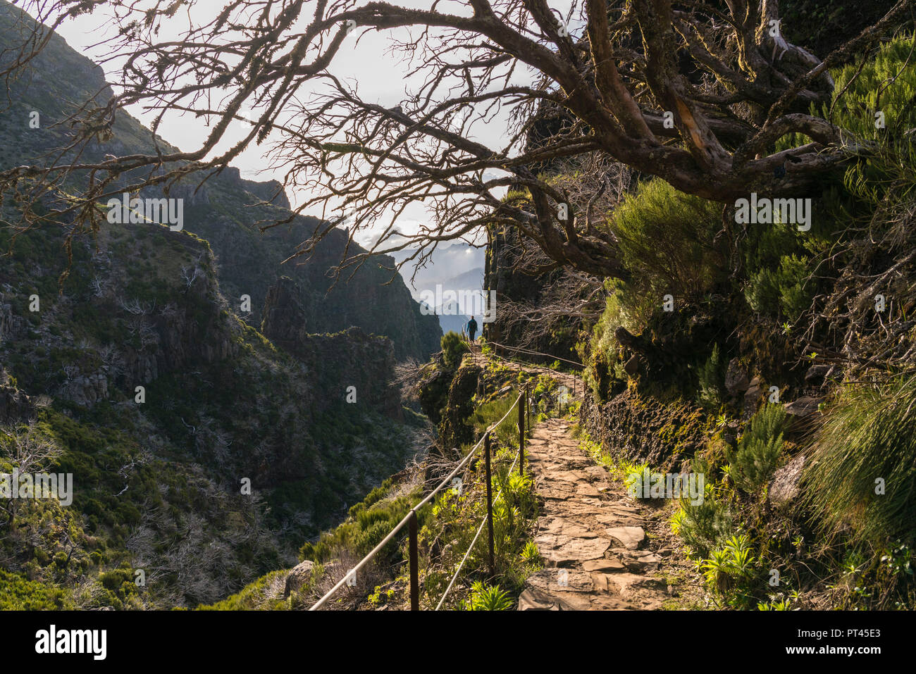 Woman hiking on the trail from Pico Ruivo to Pico do Areeiro, Achada do Teixeira, Santana municipality, Madeira region, Portugal, Stock Photo