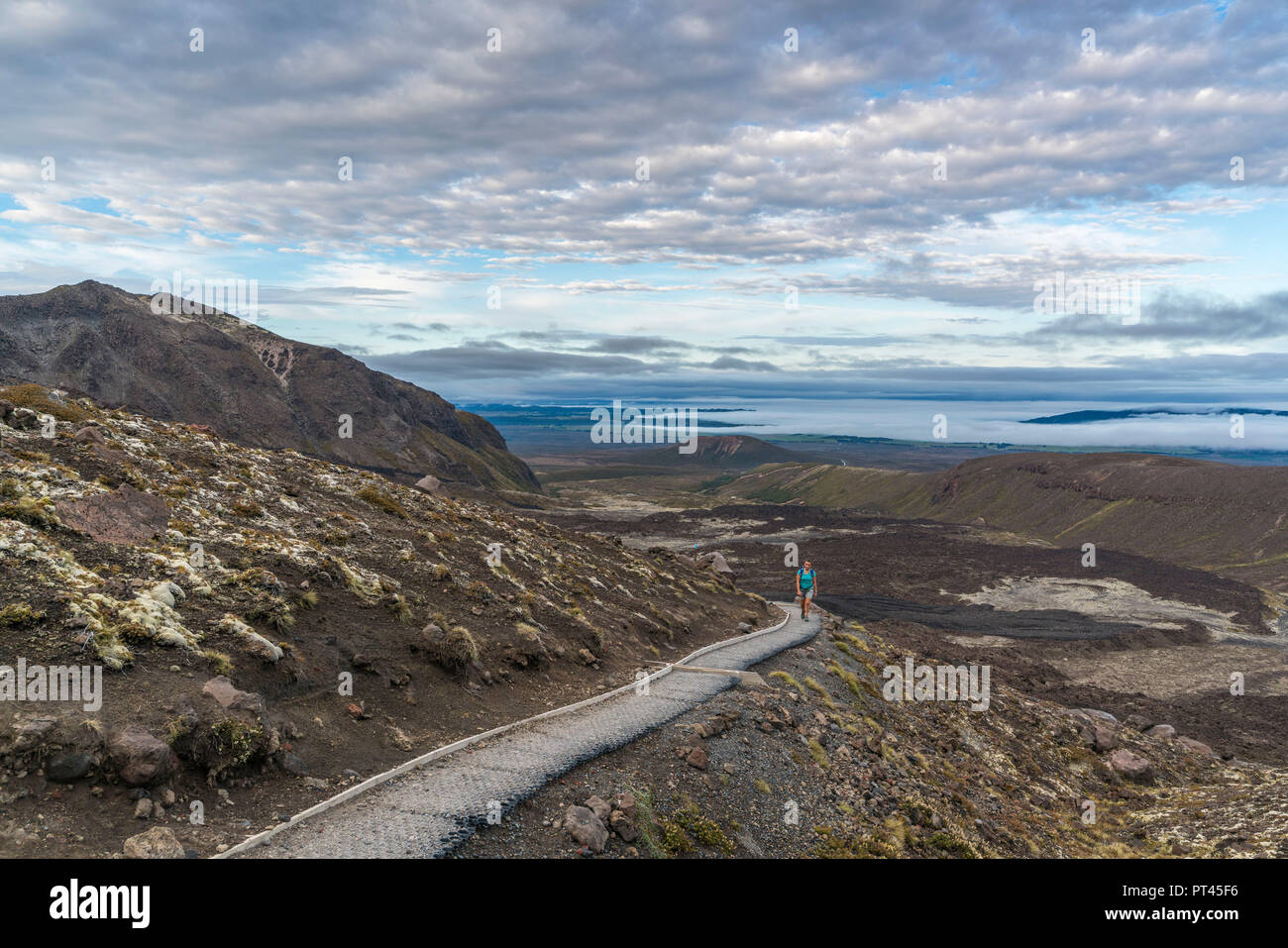 Hiker walking on the track of Tongariro Alpine Crossing, Tongariro NP, North Island, New Zealand, Stock Photo