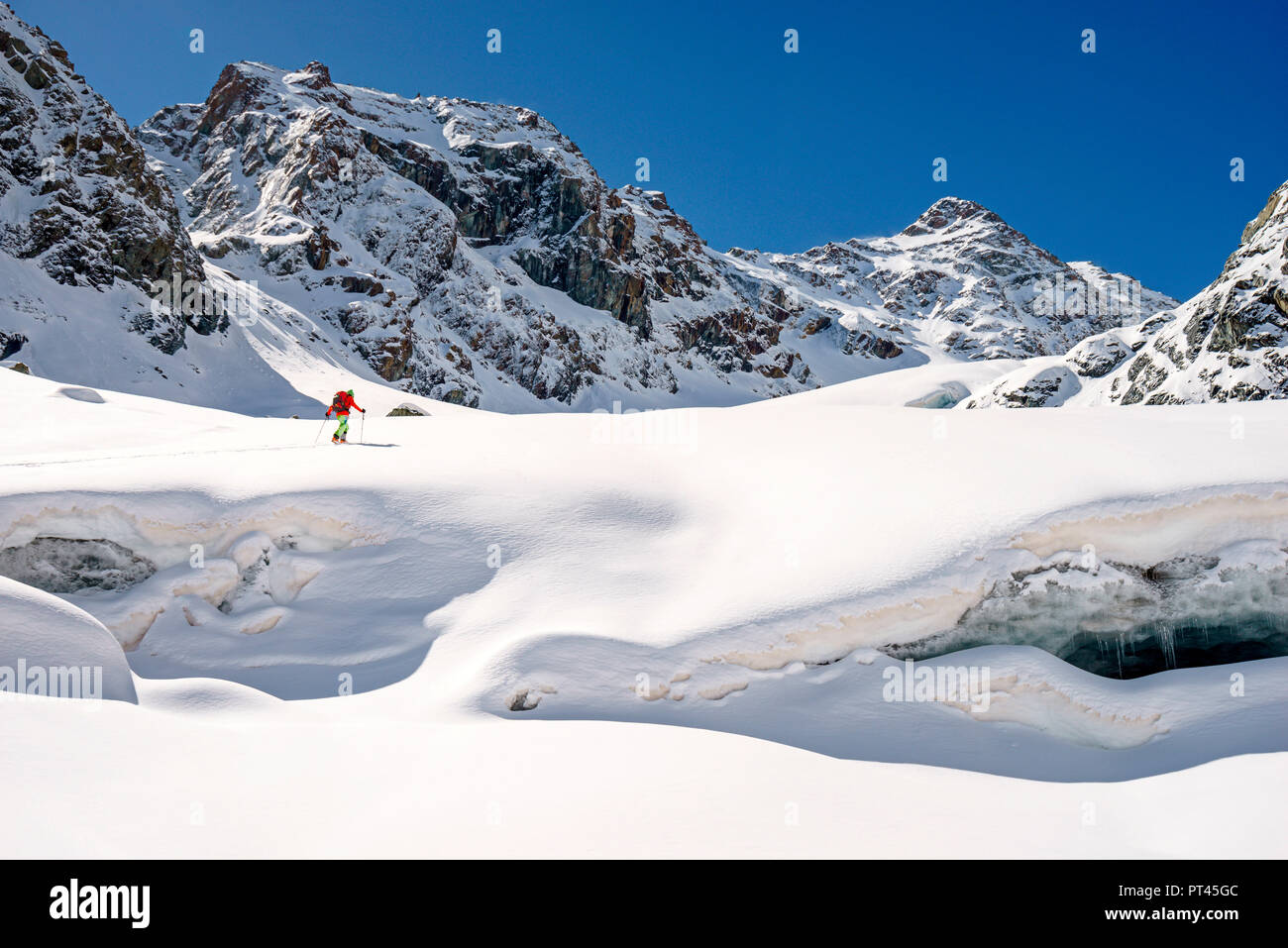 Skitouring to Mount Disgrazia, Ventina Glacier, Chiareggio, Province of Sondrio, Lombardy, Italy Stock Photo
