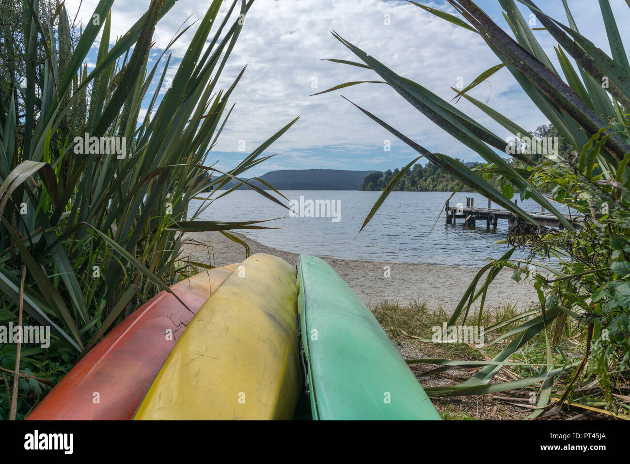 Kayaks on the shore of Lake Mapourika, Waiho, Westland district, West Coast region, South Island, New Zealand, Stock Photo