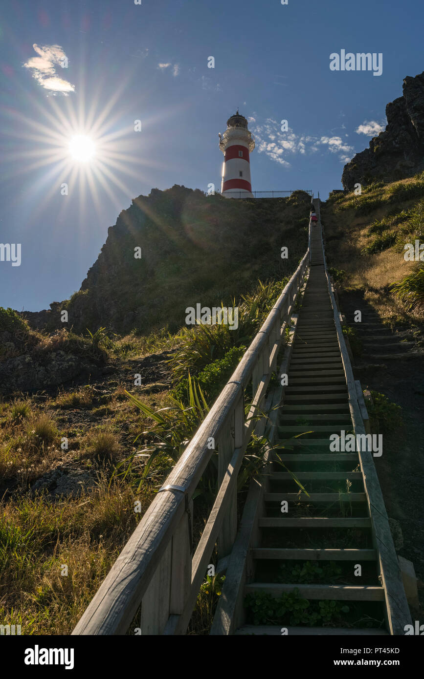 Steps to reach Cape Palliser lighthouse, Cape Palliser, Wellington region, North Island, New Zealand, Stock Photo