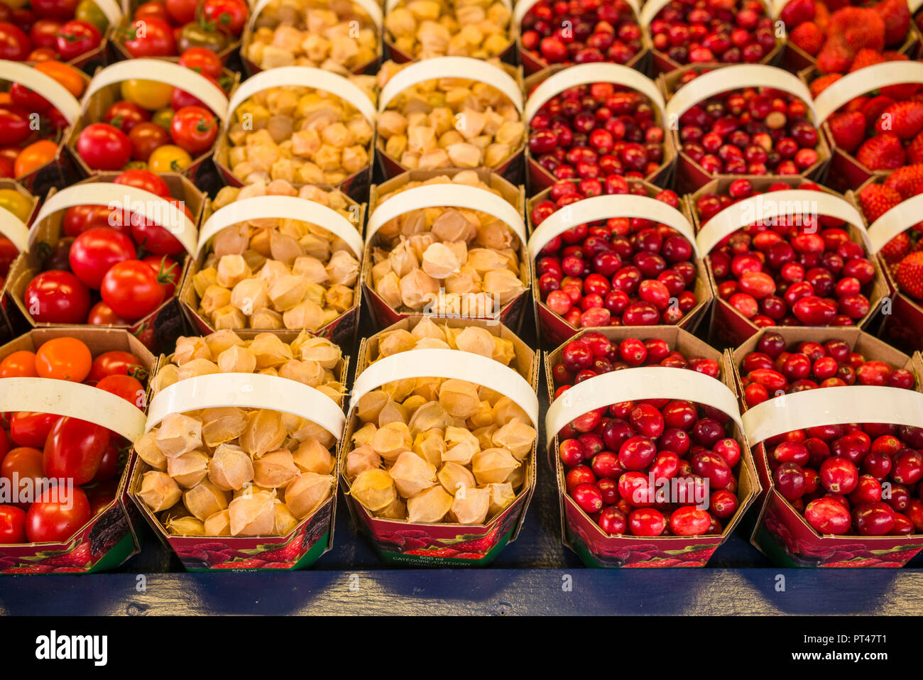 Canada, Quebec, Montreal, Little Italy, Marche Jean Talon market, autumn,  berries Stock Photo