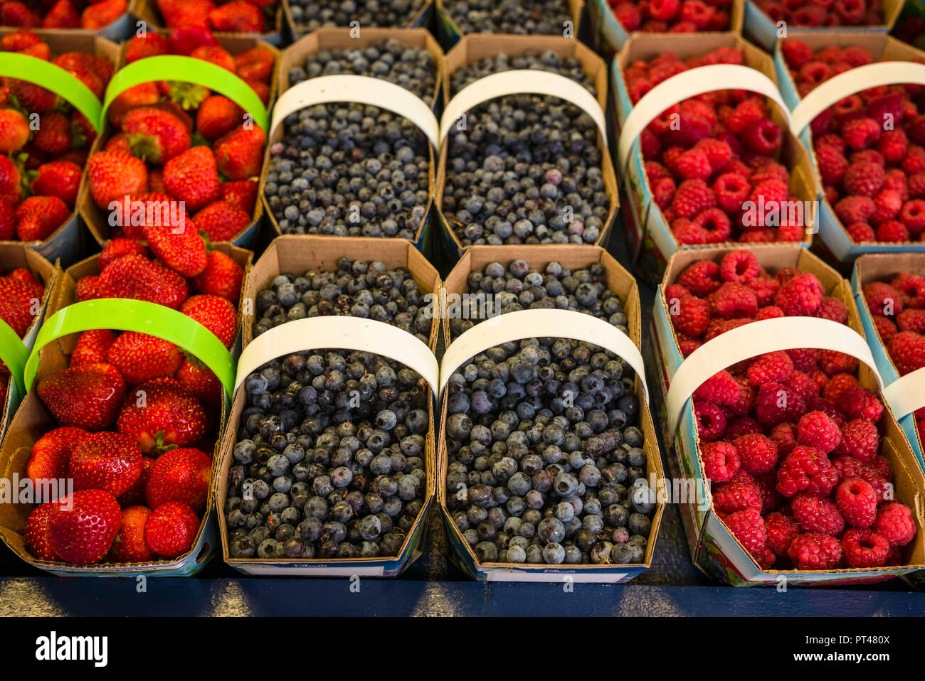 Canada, Quebec, Montreal, Little Italy, Marche Jean Talon market, autumn, berries Stock Photo