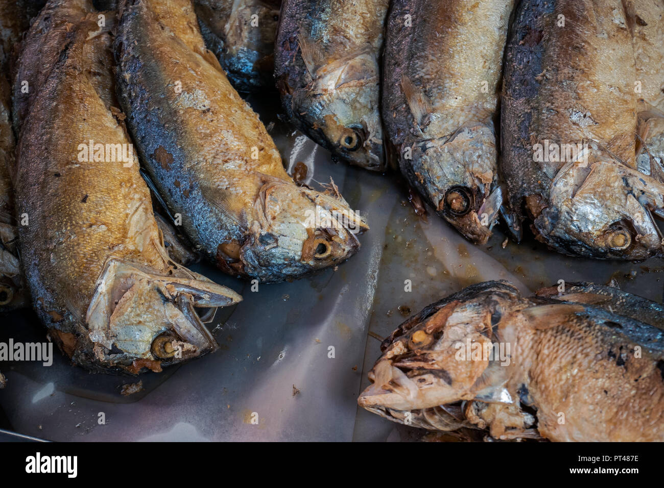 Perfect Fried Mackerels Stock Photo