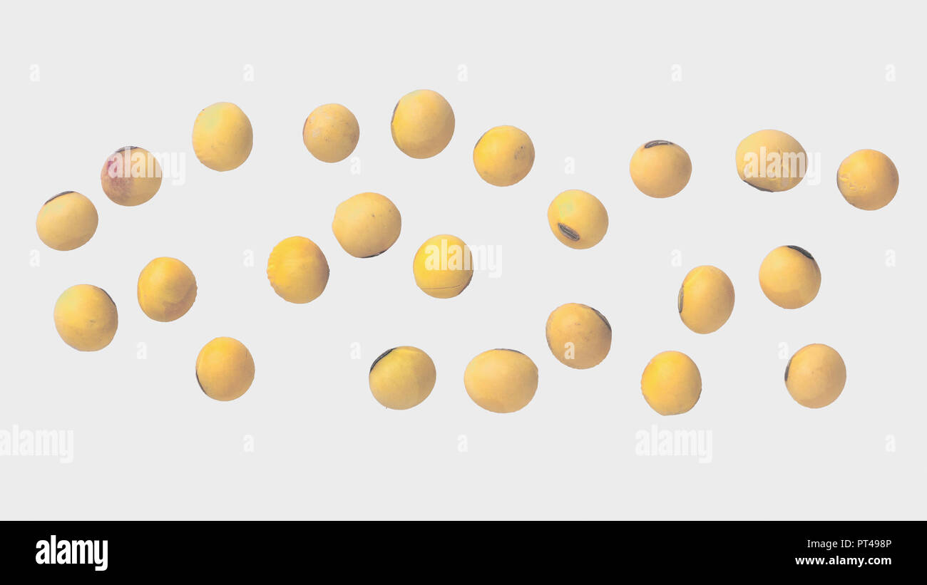 soybean on white background and clipping path	 Stock Photo