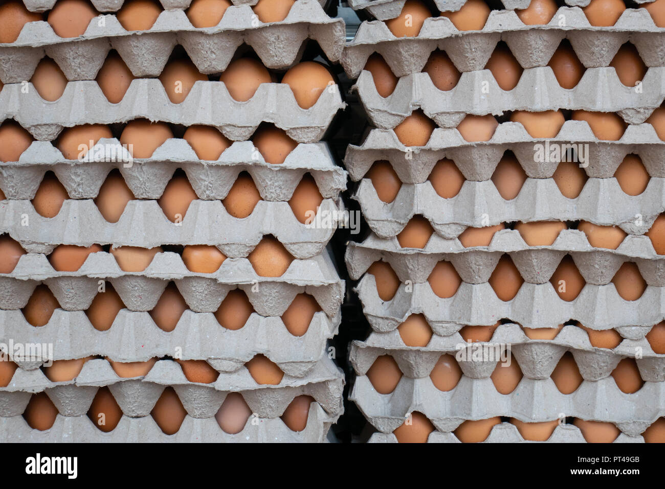 Chicken eggs in egg carton Stock Photo