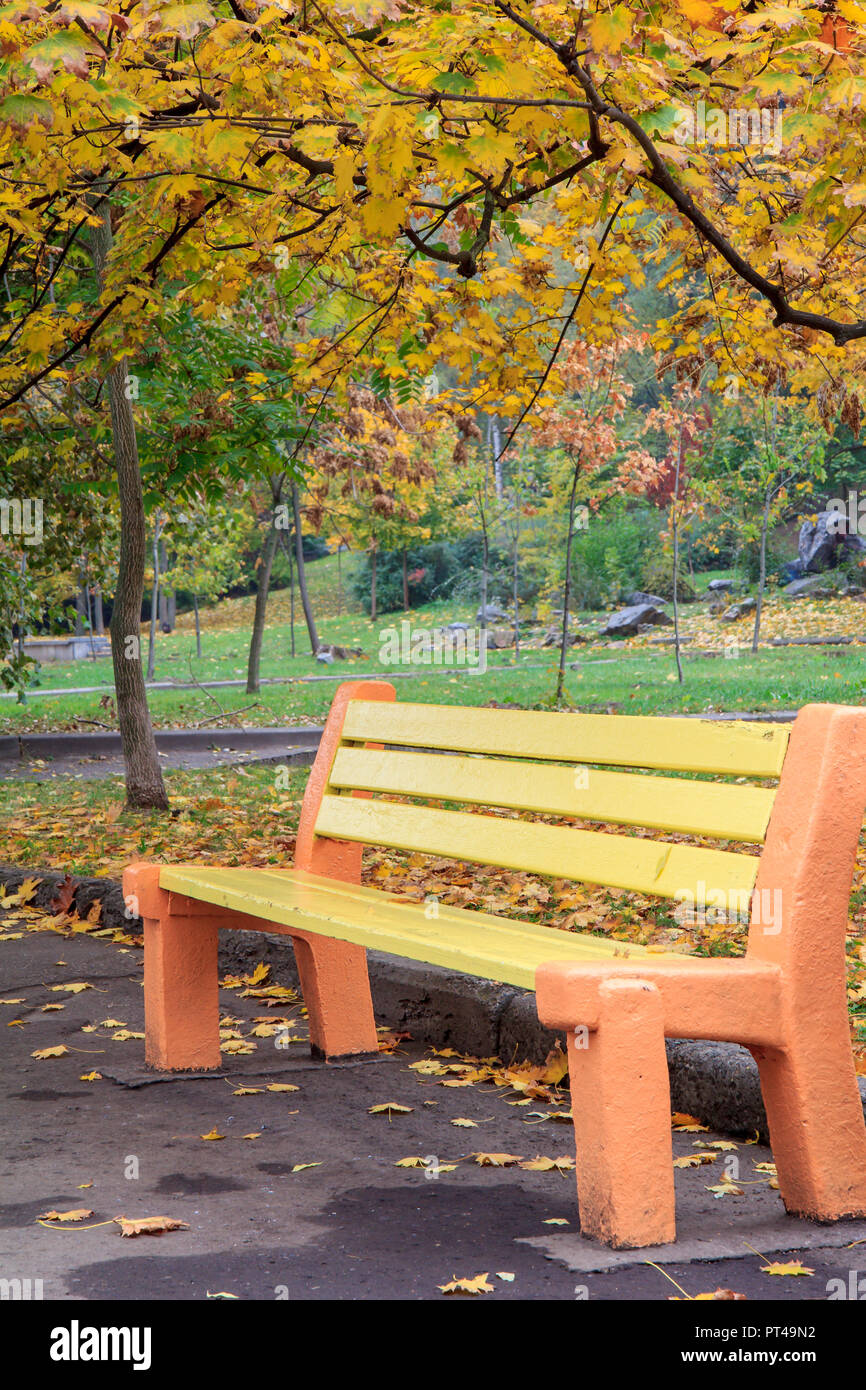 Autumn scene park bench background hi-res stock photography and images -  Alamy