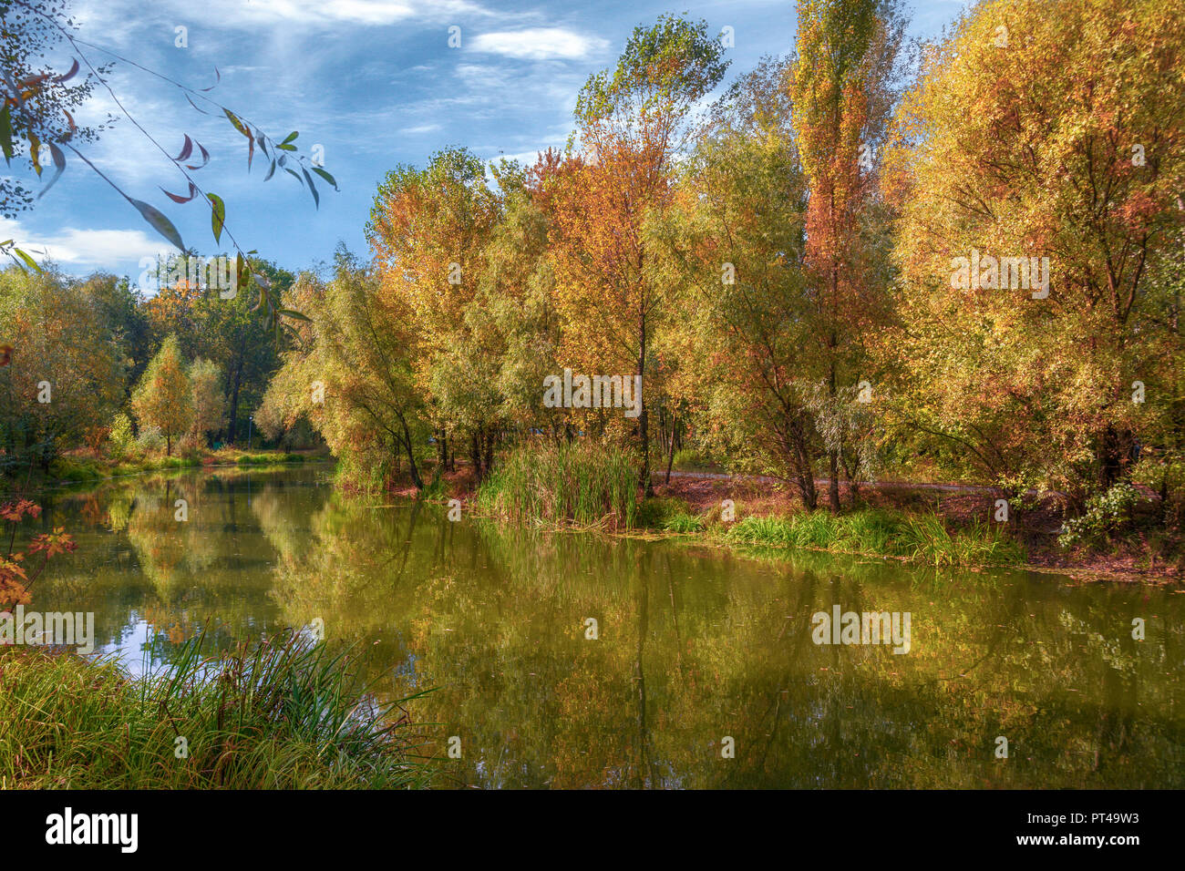 good autumn day on the shore. autumn colors. landscape Stock Photo - Alamy