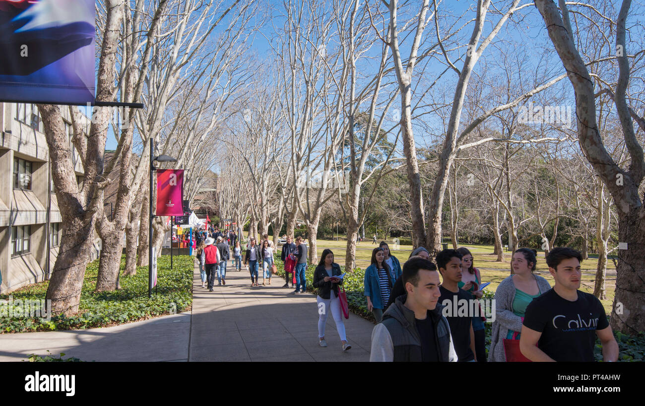 People walking along Wally's Walk, named after architect and Uni planner Dr Walter V Abraham, at Macquarie  University open day in 2018 Stock Photo