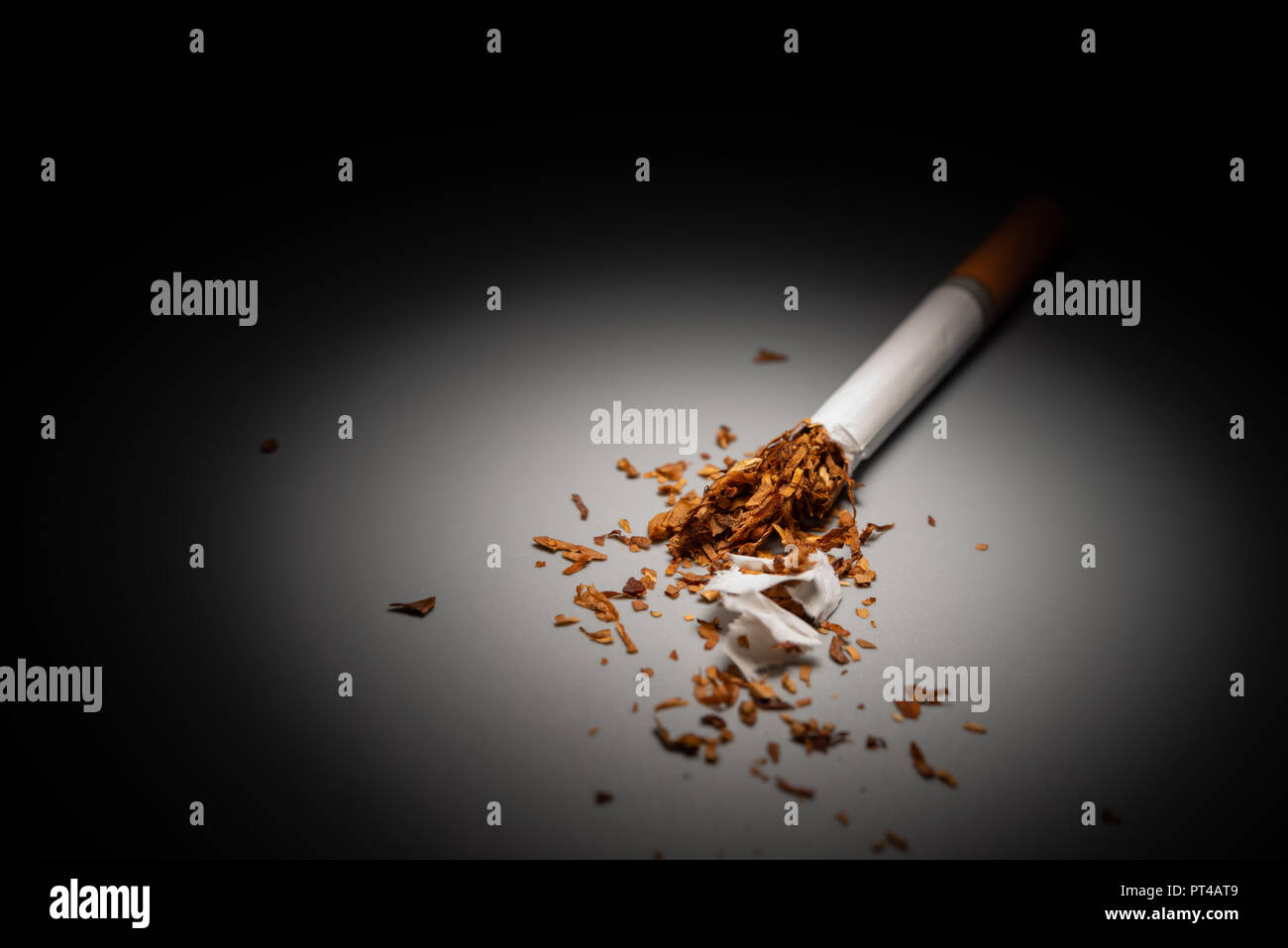 highlight cigarette cigarette with the top torn out highlighted in dark Stock Photo