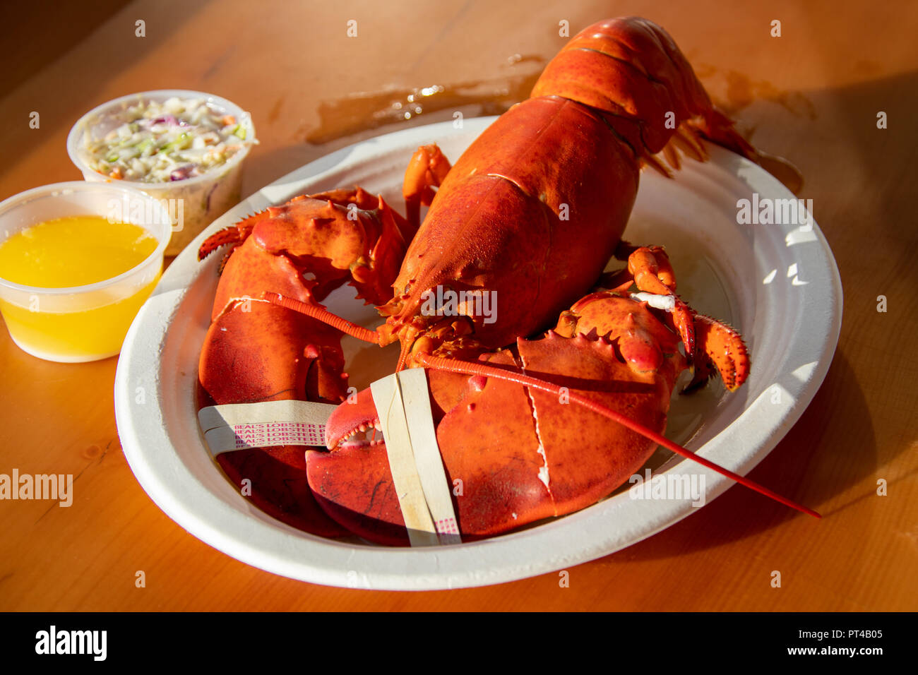 Beal's Lobster Pier Restaurant, Southwest Harbor, Maine, USA Stock