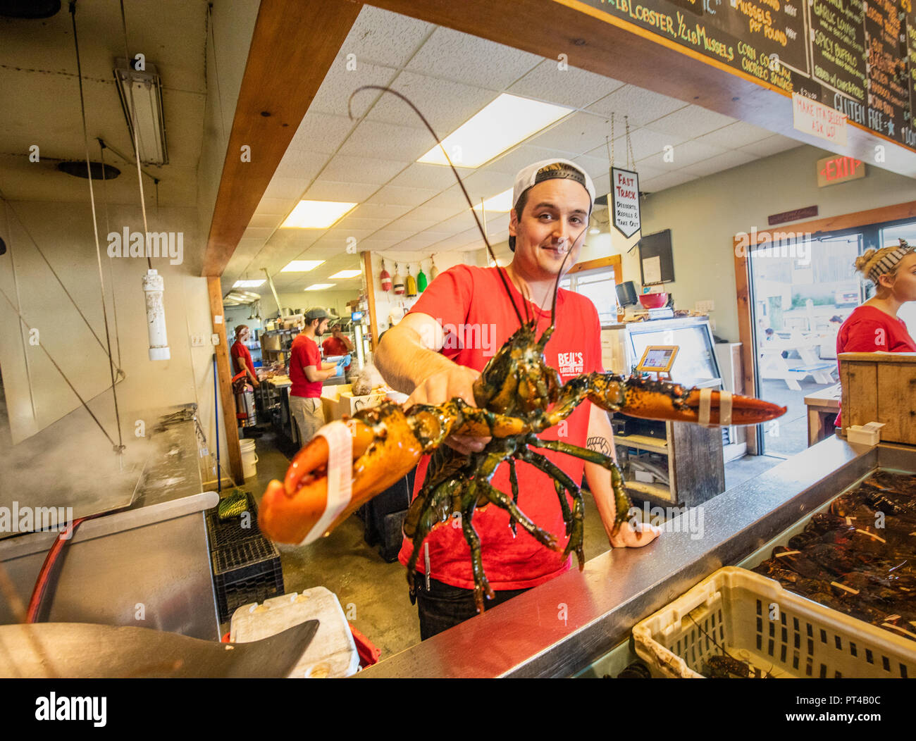 Beal's Lobster Pier Restaurant, Southwest Harbor, Maine, USA Stock