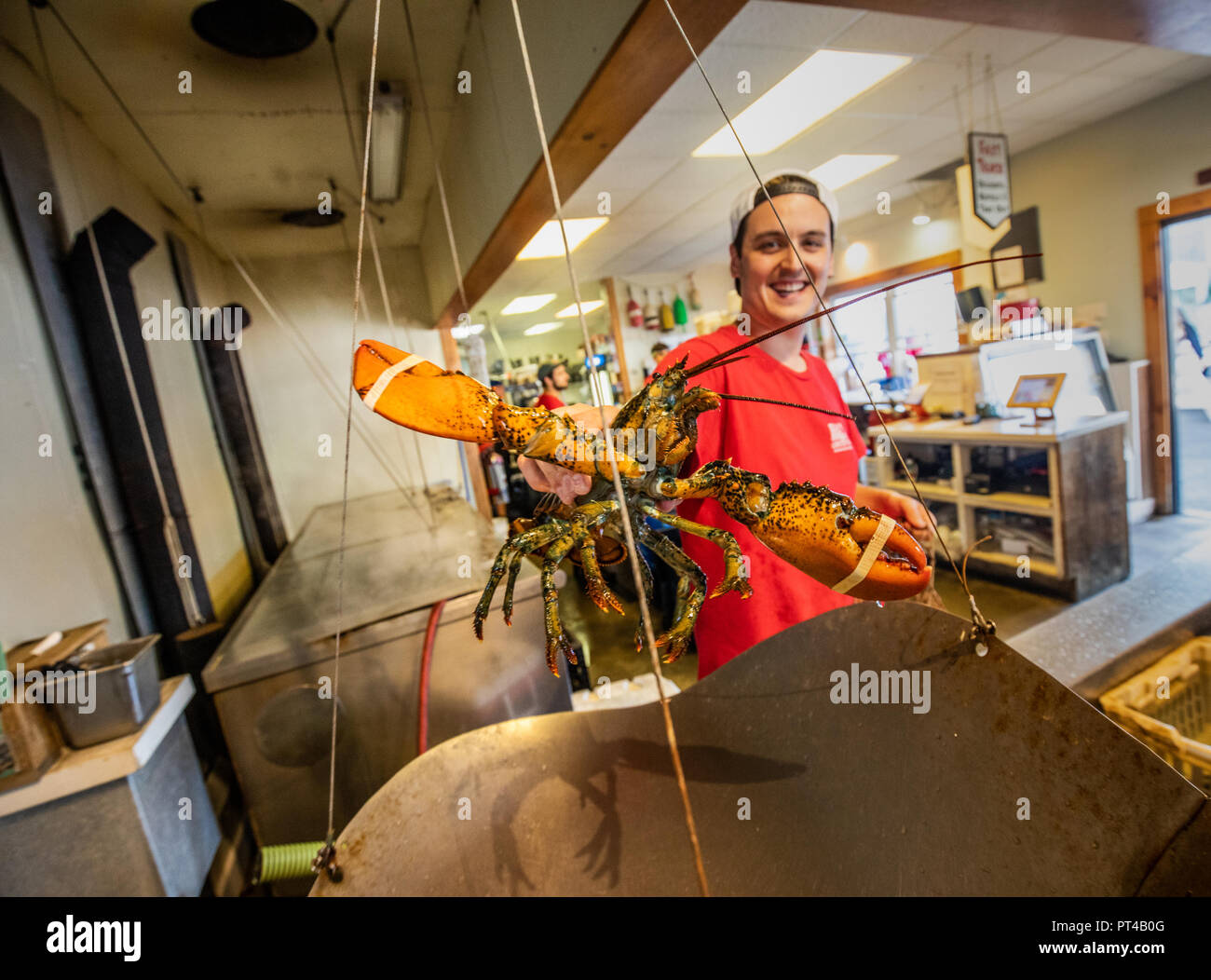 Food handling hires stock photography and images Alamy