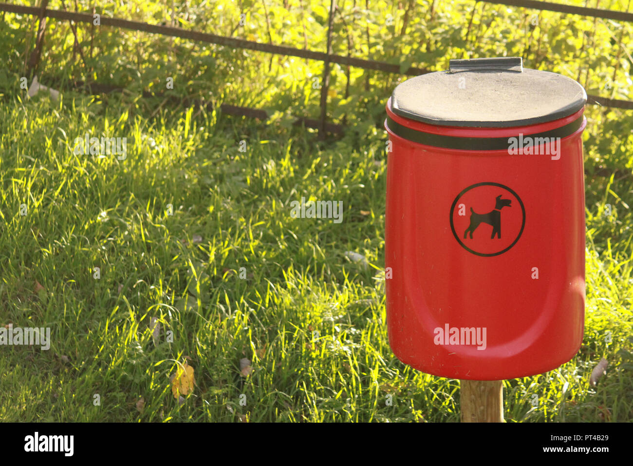 Bin for dog poo hires stock photography and images Alamy