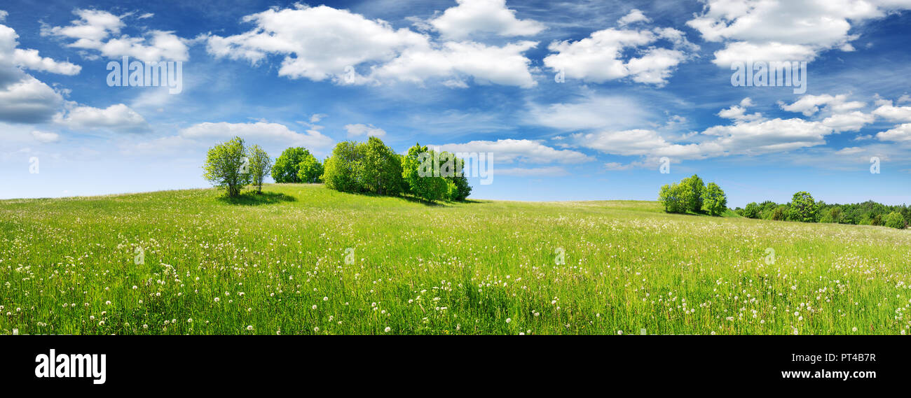 Green field panorama and blue sky with white clouds Stock Photo - Alamy