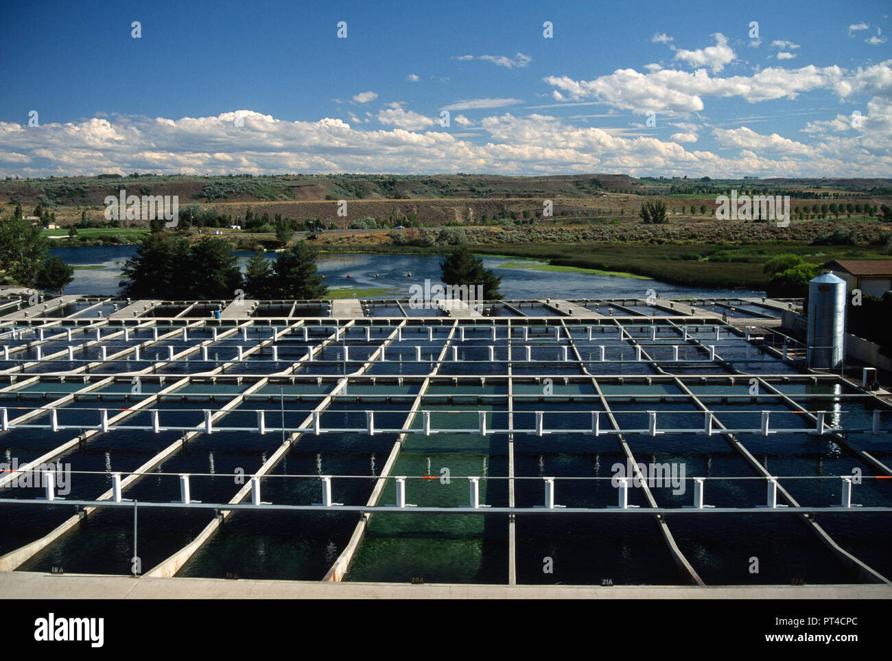 Trout Hatchery in Buhl, Idaho, USA Stock Photo Alamy